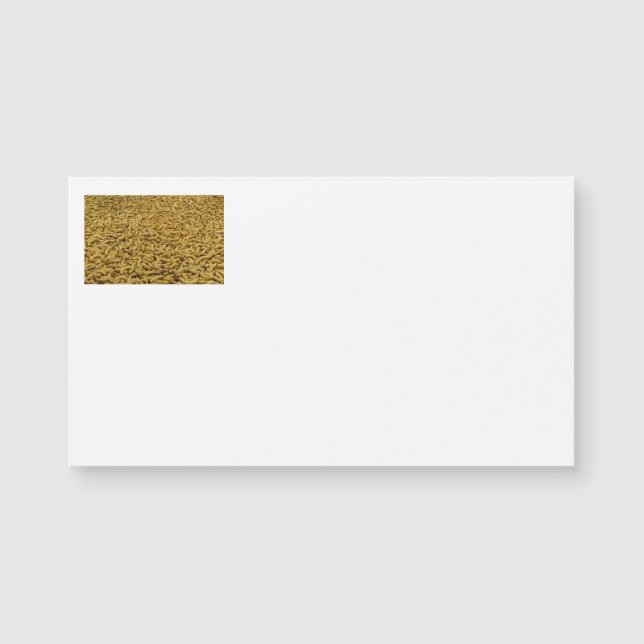 Bananas名刺 (正面)