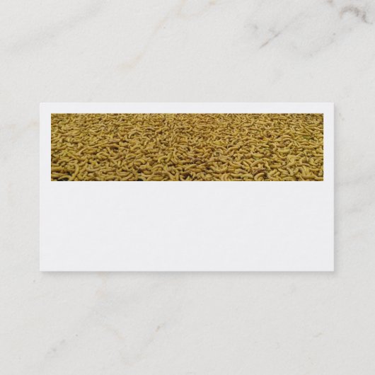 Bananas名刺 名刺 (裏面)