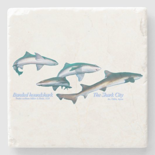 Banded houndsharks ストーンコースター (正面)