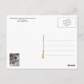 Bandelier National Monument, NM ポストカード (裏面)