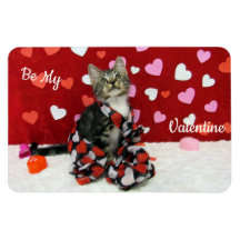 Bandit 最高の's Dressed  Valentine's Cat /子猫