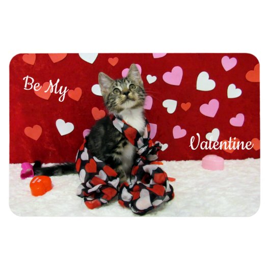 Bandit 最高の's Dressed  Valentine's Cat /子猫 マグネット (横)