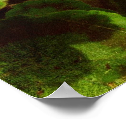 Bandit in the Flowers ポスター (角)