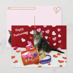 Bandit The Cat's Postcrossing Valentineのはがき ポストカード