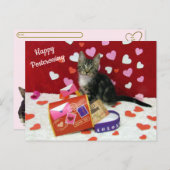 Bandit The Cat's Postcrossing Valentineのはがき ポストカード (正面/裏面)