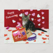 Bandit The Cat's Postcrossing Valentineのはがき ポストカード (正面)