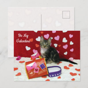 Bandit The Cat's Valentine Mailboxはがき シーズンポストカード