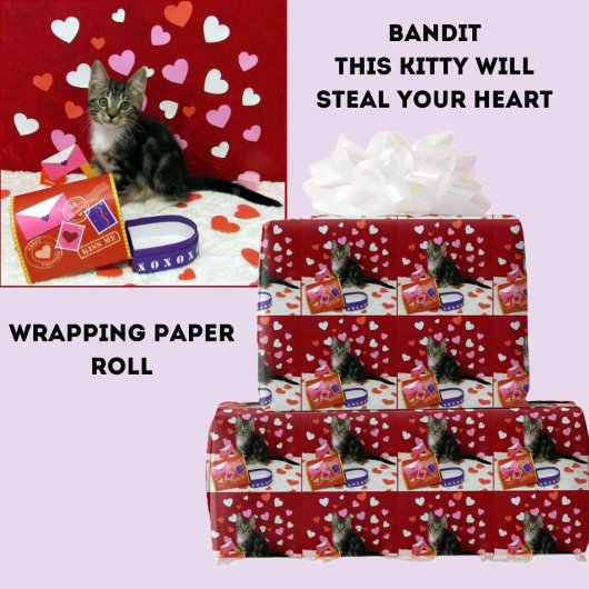 Bandit the Cat's Valentine Mailbox Wrapping紙 ラッピングペーパー