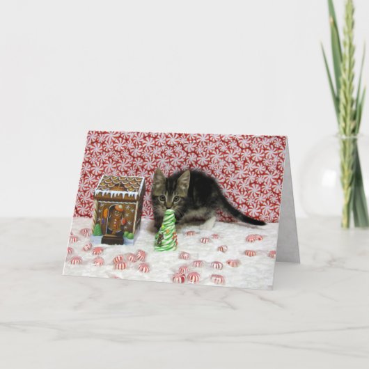 Bandit's Candy Christmas - Cat / Kitten Card シーズンカード (正面)