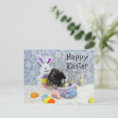 Bandit's Easter Basket – はがき (スタンド正面)