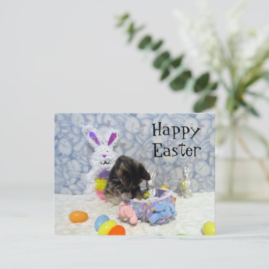 Bandit's Easter Basket – はがき (スタンド正面)