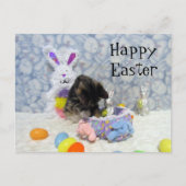 Bandit's Easter Basket – はがき (正面)