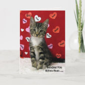 Bandit's Kitten Hugs Card (3335) カード (正面)