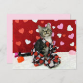 Bandit's Love Valentine - Cat / Kitten - Flat Card シーズンカード (正面/裏面)