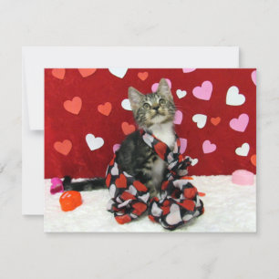 Bandit's Love Valentine - Cat / Kitten - Flat Card シーズンカード