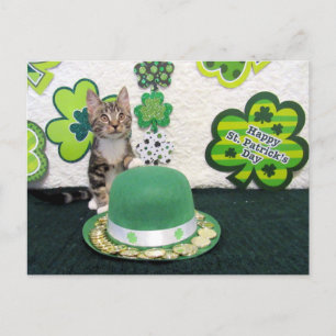 Bandit's St. Patrick's Day Cat /子猫はがき ポストカード