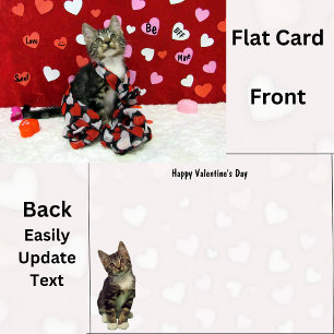 Bandit's The Cat's Valentine's Dayフラットカード