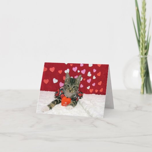 Bandit's Valentine'sハート- Cat / Kitten Card シーズンカード (正面)