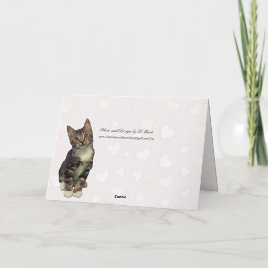 Bandit's Valentine's Card - Cat / Kitten シーズンカード (裏面)