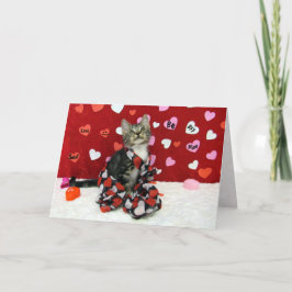Bandit's Valentine's Card - Cat / Kitten シーズンカード