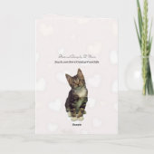 Bandit's Valentine's - Cat / Kitten Valentine Card シーズンカード (裏面)