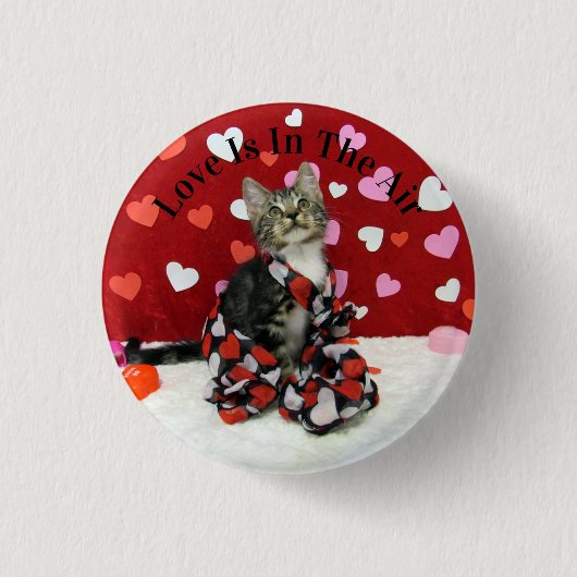 Bandit's Valentine's Dayボタン – Cute cat Pic 缶バッジ (正面)
