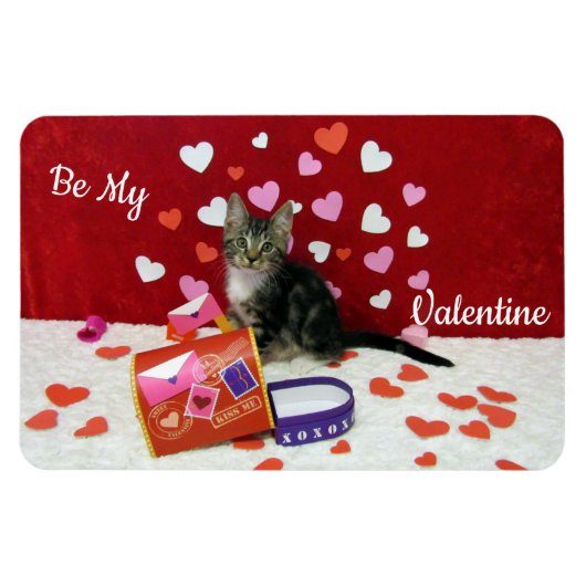 Bandit's Valentine's Magnet (Cat/Kitten) マグネット (横)