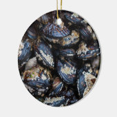 Bandonの石で育っているカリフォルニアムラサキイガイ セラミックオーナメント (左)