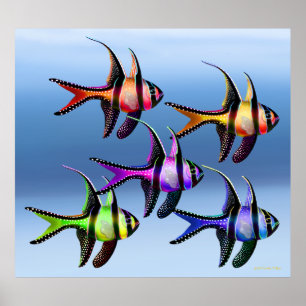 BanggaiのCardinalfishの虹ポスター ポスター