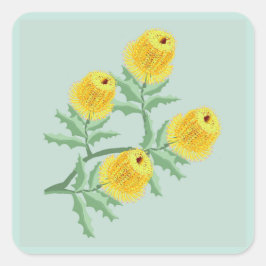 Banksia flowers スクエアシール