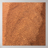 Bankside Mudcracks, Cimarron River, Oklahoma - I ポスター (正面)
