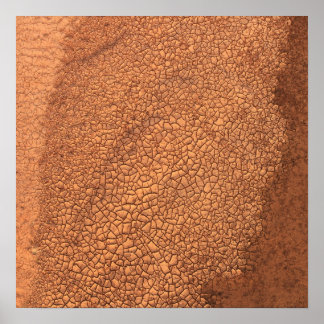 Bankside Mudcracks, Cimarron River, Oklahoma - I ポスター