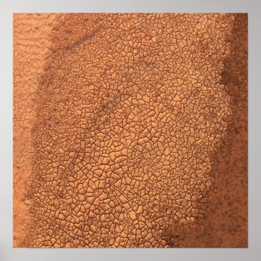 Bankside Mudcracks, Cimarron River, Oklahoma - I ポスター (正面)