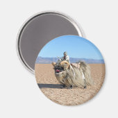 Banthapugマグネットをチャブ マグネット (正面/裏面)