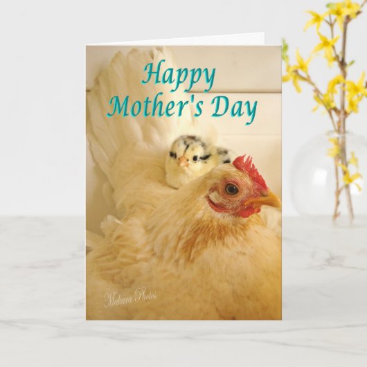 Bantyの雌鶏及びひよこ カード (黄色い花)