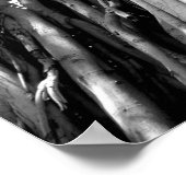 Banyan ポスター (角)