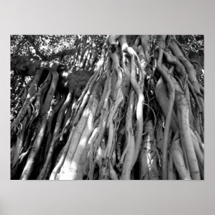 Banyan ポスター