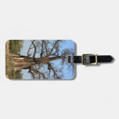 Baobabの木の荷物のラベル ラゲッジタグ (正面横)