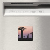 Baobab Alley'，マダガスカル，モロダバ，アフリカ， マグネット (インサイチュ (食洗機))