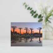 Baobab Alley, Madagascar Travel Postcard ポストカード (スタンド正面)