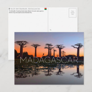 Baobab Alley, Madagascar Travel Postcard ポストカード