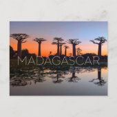 Baobab Alley, Madagascar Travel Postcard ポストカード (正面)