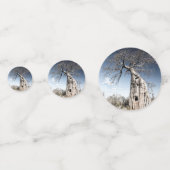 Baobab Tree at Mana Pools国立公園写真 コンフェッティ (裏面)