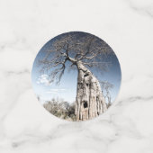 Baobab Tree at Mana Pools国立公園写真 コンフェッティ (スモール正面)