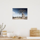 Baobab Tree at Mana Pools国立公園写真 ポスター (キッチン)