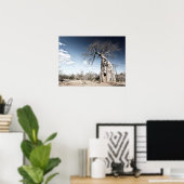 Baobab Tree at Mana Pools国立公園写真 ポスター (ホームオフィス)