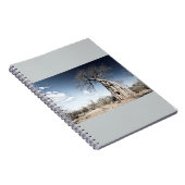 Baobab Tree at Mana Pools国立公園（ジンバブエ） ノートブック (右側)