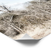 Baobab Tree at Mana Pools国立公園（ジンバブエ） ポスター (コーナー)