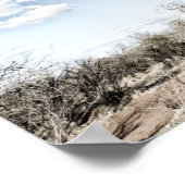 Baobab Tree at Mana Pools国立公園（ジンバブエ） ポスター (角)