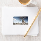 Baobab Tree at Mana Pools国立公園(ジンバブエ) ラベル (インサイチュ)